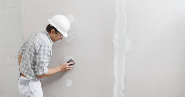 Best Mold Damage Restoration  in Farmington, UT