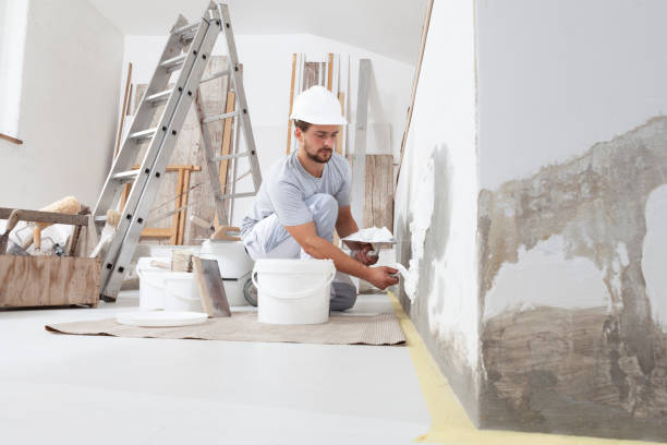 Environmental Consulting for Mold Prevention in Farmington, UT