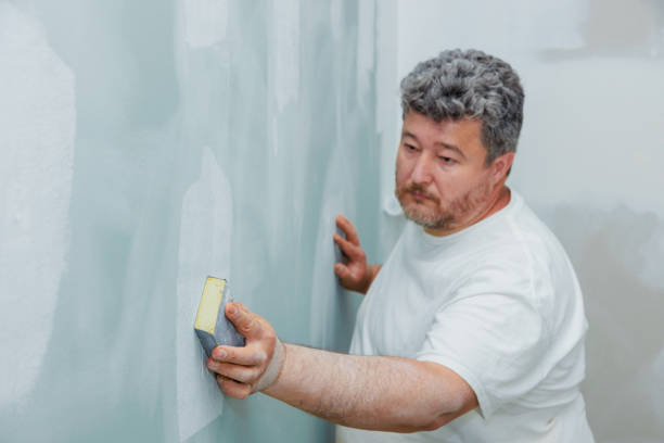 Best Black Mold Removal  in Farmington, UT