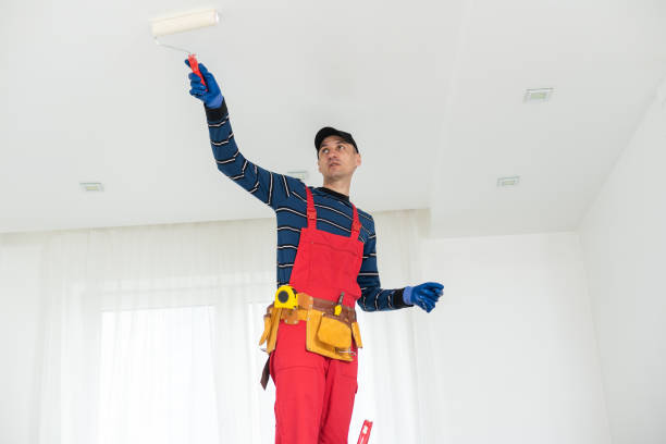 Professional Mold Removal in Farmington, UT