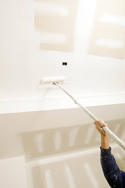 Best Mold Odor Removal Services  in Farmington, UT