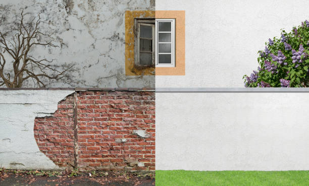 Best Basement Mold Removal  in Farmington, UT