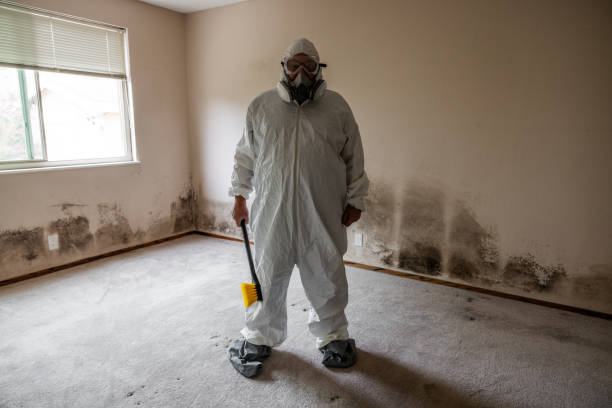 Best Crawl Space Mold Remediation  in Farmington, UT