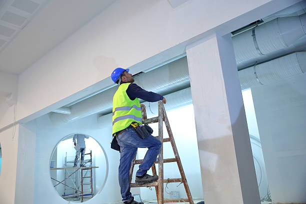 Best Mold Documentation for Insurance Claims  in Farmington, UT