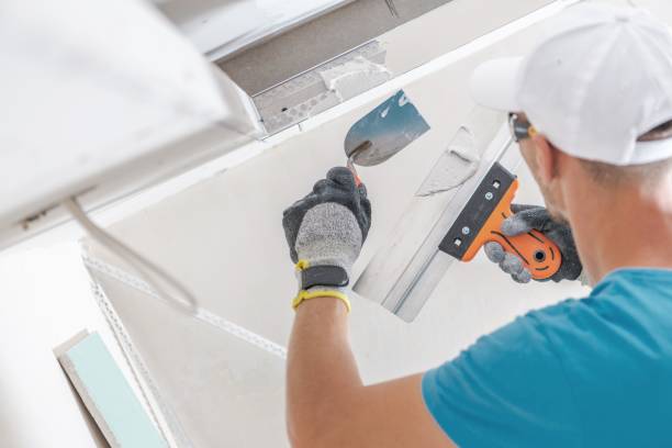 Best Mold Documentation for Insurance Claims  in Farmington, UT